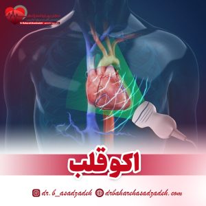 اکو قلب