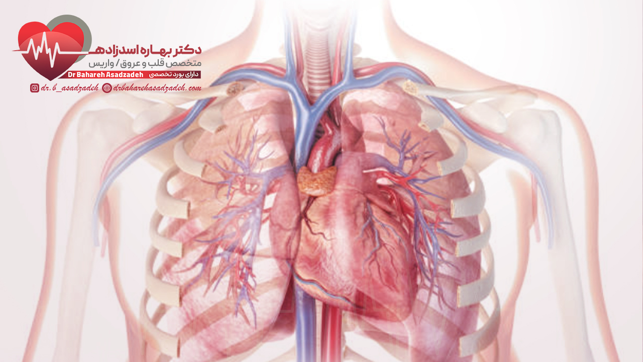 تعداد ضربان طبیعی قلب چقدر است؟
